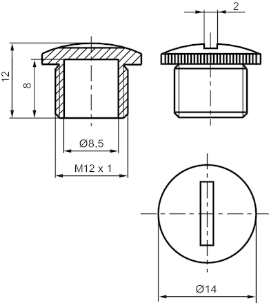 AVENTICS Protective cap - R419801626